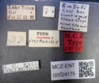 Media type: image;   Entomology 24175 Aspect: labels